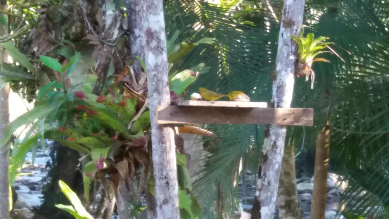 Pousada Da Cachoeira Taquari Araquari Kültér fotó